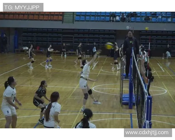 北京排球队个人能力引发热议球员表现与团队协作的争论