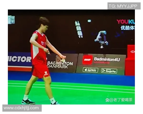 杭州羽毛球队与北京羽毛球队技术对决赛后分析与总结